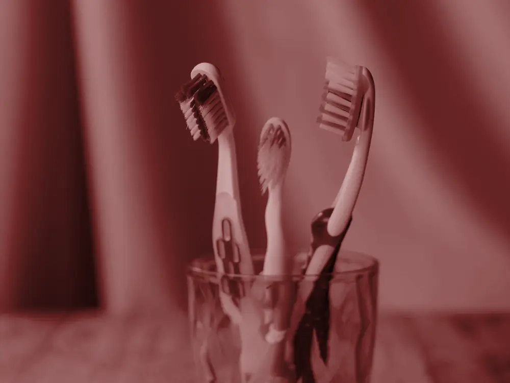 Toothbrushes standing in a glass