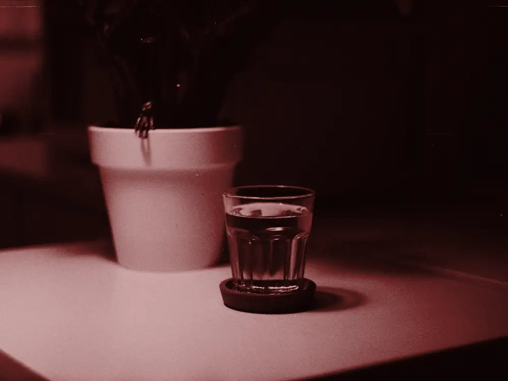 Glass of water beside a plant pot in black and white